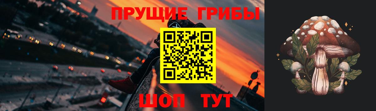 Псилоцибиновые грибы Psilocybine cubensis Ликино-Дулёво